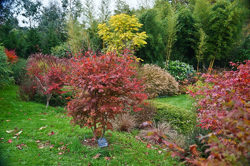 DSC04420