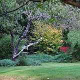 DSC03314  au jardin du Nord