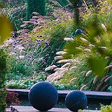 DSC03896  au bassin du jardin contemporain