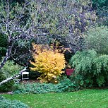 DSC04389  Au jardin du Nord - vue de 180°