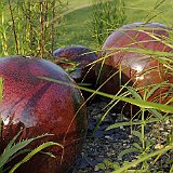 15  boules fontaines pour l&#39;eau perdu