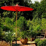 parasol