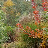 Bild9