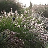 Imgp1452