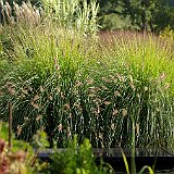 Imgp7188