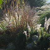Imgp7407