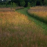 JardinHillen036