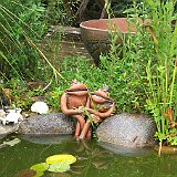 Imgp0879  petit biotope de grenouille avec poissons d&#39;ornement dévant le jardin médiéval