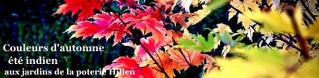 couleur automnale - �t� indien aux jardins de la poterie Hillen