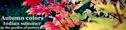 Autumn colors in the garden of the pottery Hillen in southwestern France
