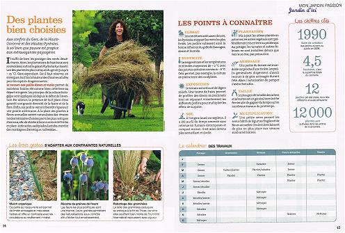 rustica ao�t 2014 - Les Jardins de la Poterie Hillen - www.poterie.live  - http://les-jardins-de-la-poterie-hillen.blogspot.com